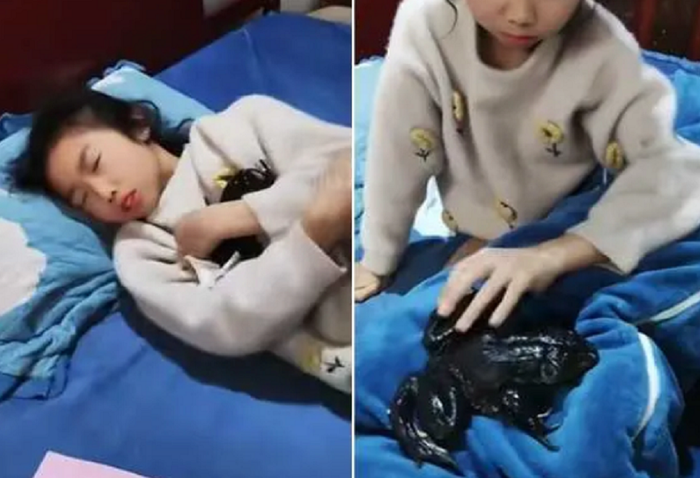  Nghe tiếng động lạ trong phòng con gái, mẹ lật chăn lên phát hiện cảnh tượng 'sởn gai ốc' Ảnh 2