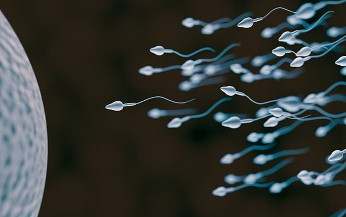Cứ 6 người trưởng thành trên thế giới thì có 1 trường hợp vô sinh Ảnh 2