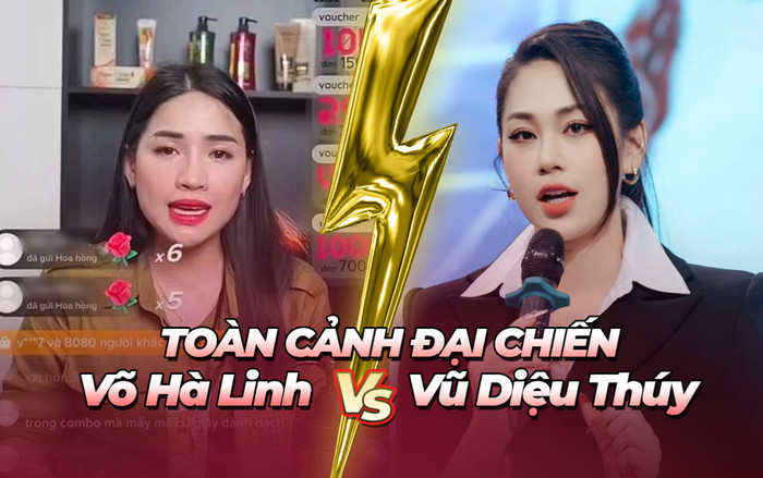 Toàn cảnh màn đấu tố giữa 'chiến thần' Võ Hà Linh và doanh nhân Vũ Diệu Thúy Ảnh 2