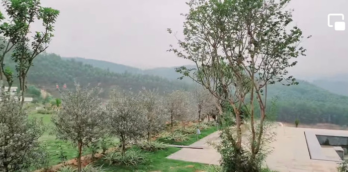 Khán giả choáng ngợp trước cơ ngơi siêu khủng nhà Mạnh Trường.