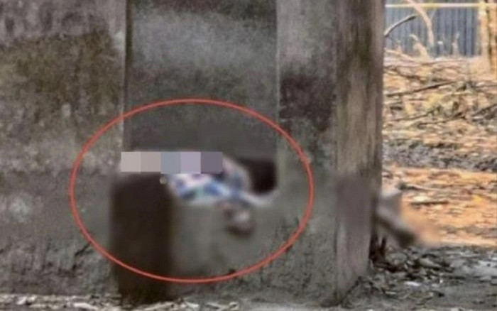 Đã xác định được nguyên nhân nữ chủ quán karaoke tử vong tại ngôi nhà hoang giữa rừng cao su Ảnh 2