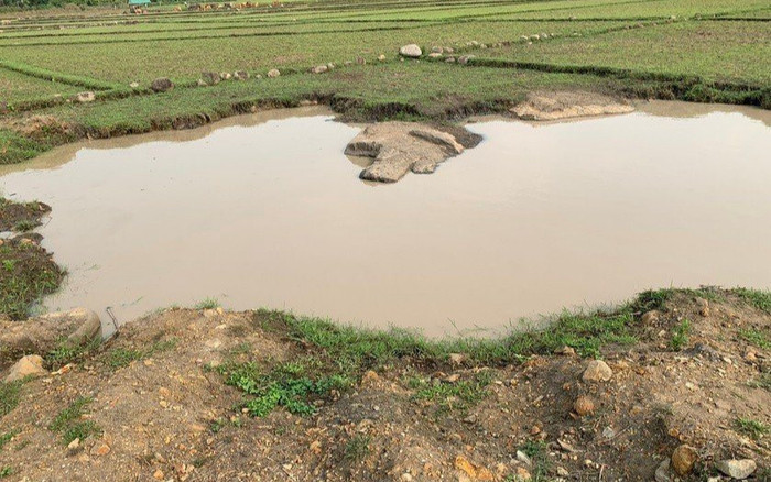 2 thi thể nổi lập lờ trên vũng nước giữa cánh đồng, biết danh tính nạn nhân ai nấy cũng đau lòng Ảnh 2