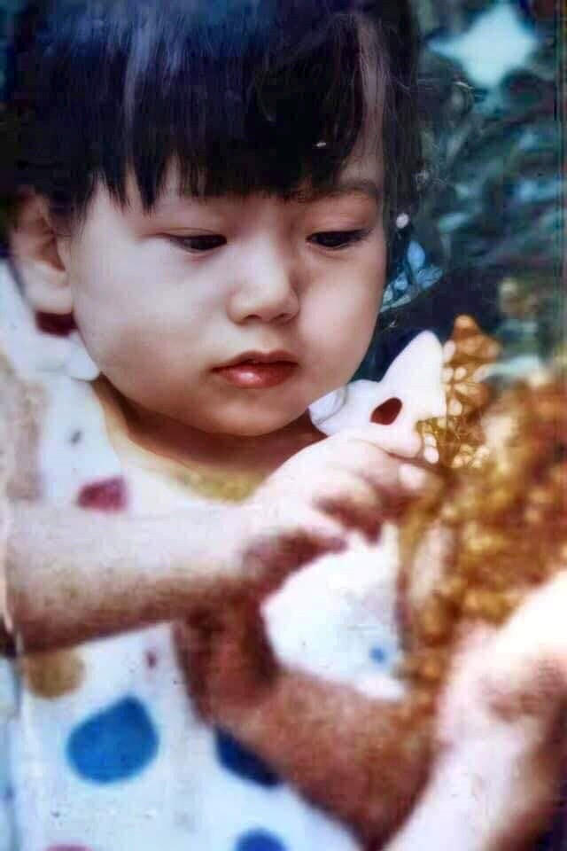 Lê Thanh Trang bị mất tích cách đây 25 năm.