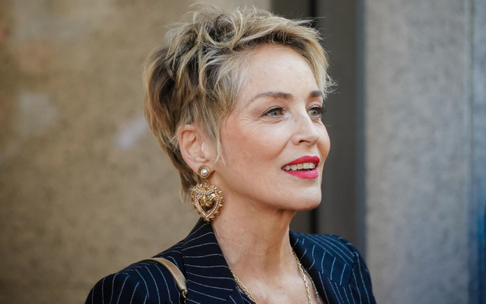 Bí quyết làm đẹp của U70 Sharon Stone: 'Tôi không theo đuổi vẻ đẹp không tuổi' Ảnh 2
