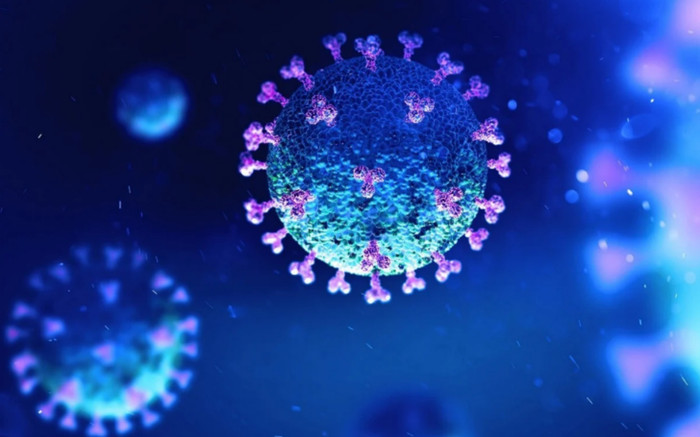 TP HCM vừa công bố biến chủng mới của Omicron lần đầu tiên được ghi nhận tại Việt Nam Ảnh 2