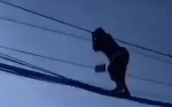 'Đứng tim' theo dõi cô gái đi trên đường dây điện rồi ngồi vắt vẻo Ảnh 2