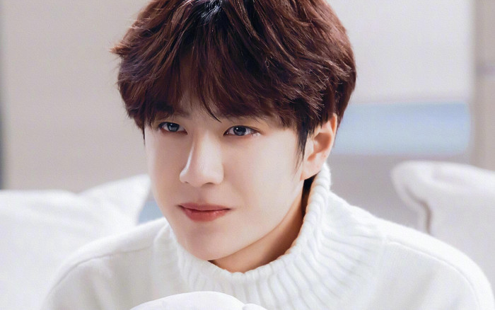 Nhan sắc cực đỉnh của Vương Nhất Bác khi chưa dậy thì, đập tan tin đồn dao kéo Ảnh 2