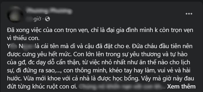 Bài chia sẻ của người dì về nữ sinh lớp 10 tư tử nghi do bạo lực học đường (FB: P.P)