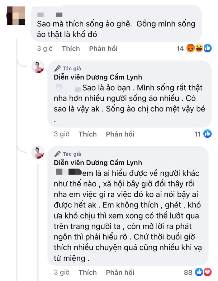 Dương Cẩm Lynh không ngần ngại đưa ra quan điểm của bản thân khi bị chê 'sống ảo'