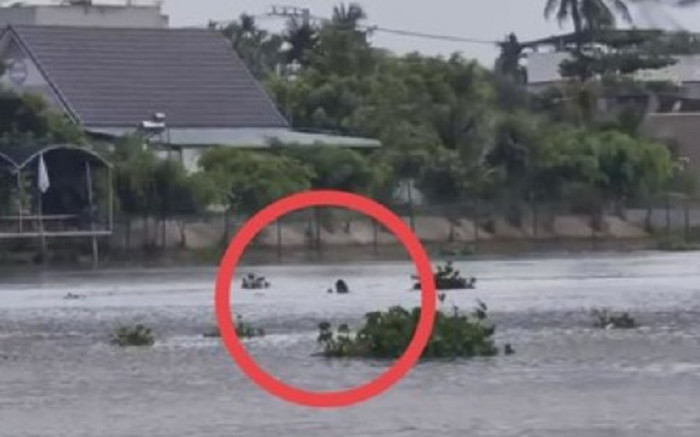 Thanh niên quay cảnh tìm kiếm một người nhảy cầu, vô tình quay được cảnh cô gái... cũng nhảy cầu Ảnh 2