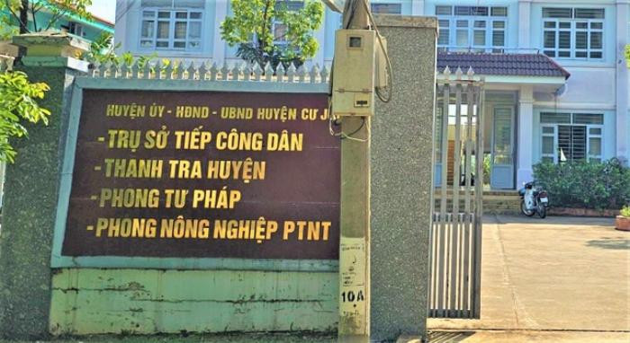 Một Trưởng phòng chuyên môn ở Đắk Nông thừa nhận bứng trộm cây mang về, ngỡ ngàng trước lời giải thích Ảnh 1