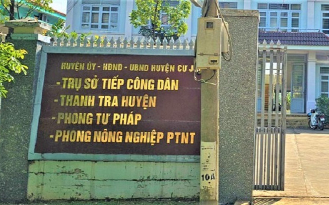 Một Trưởng phòng chuyên môn ở Đắk Nông thừa nhận bứng trộm cây mang về, ngỡ ngàng trước lời giải thích Ảnh 2