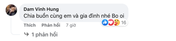  Ca sĩ Đan Trường thông báo tin tang sự, Đàm Vĩnh Hưng và nhiều nghệ sĩ Việt gửi lời chia buồn Ảnh 3