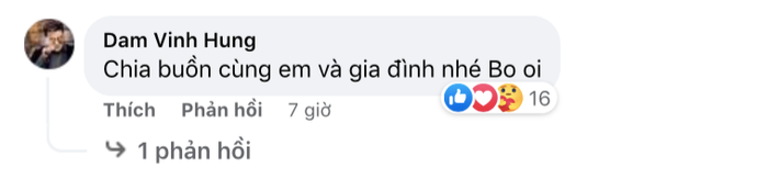 Ca sĩ Đan Trường thông báo tin tang sự, Đàm Vĩnh Hưng và nhiều nghệ sĩ Việt gửi lời chia buồn Ảnh 3