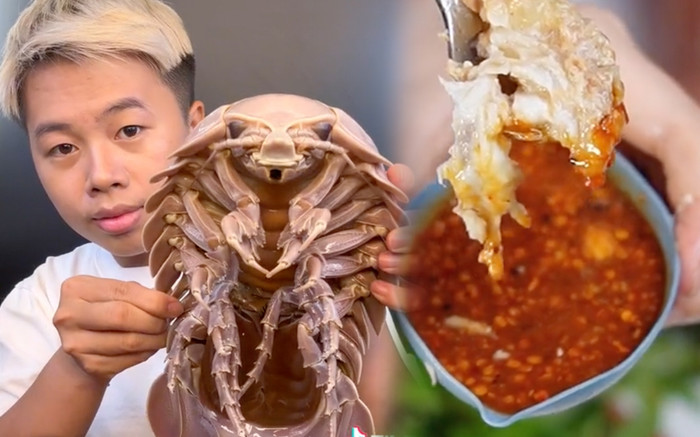 Dân tình đua nhau mukbang bọ biển: 'Ngoại hình' đáng sợ nhưng ai ăn vào cũng tấm tắc khen! Ảnh 2
