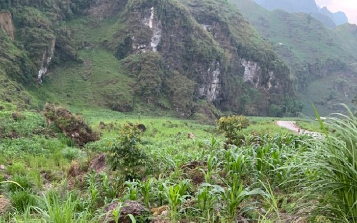 Vụ cô giáo bám bản gặp tai nạn tử vong: Phú Thọ sẵn sàng tiếp nhận người chồng Ảnh 2