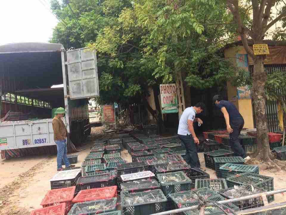 9x Hồ Hữu Hải và hành trình khởi nghiệp mạo hiểm với nghề nuôi chim Ảnh 1