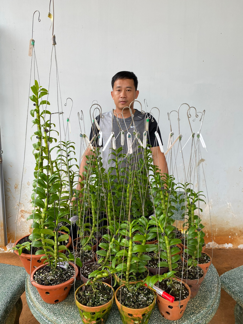 Thầy giáo Phạm Thăng Bằng sở hữu vườn lan giá trị với hơn 10.000 chậu Ảnh 1