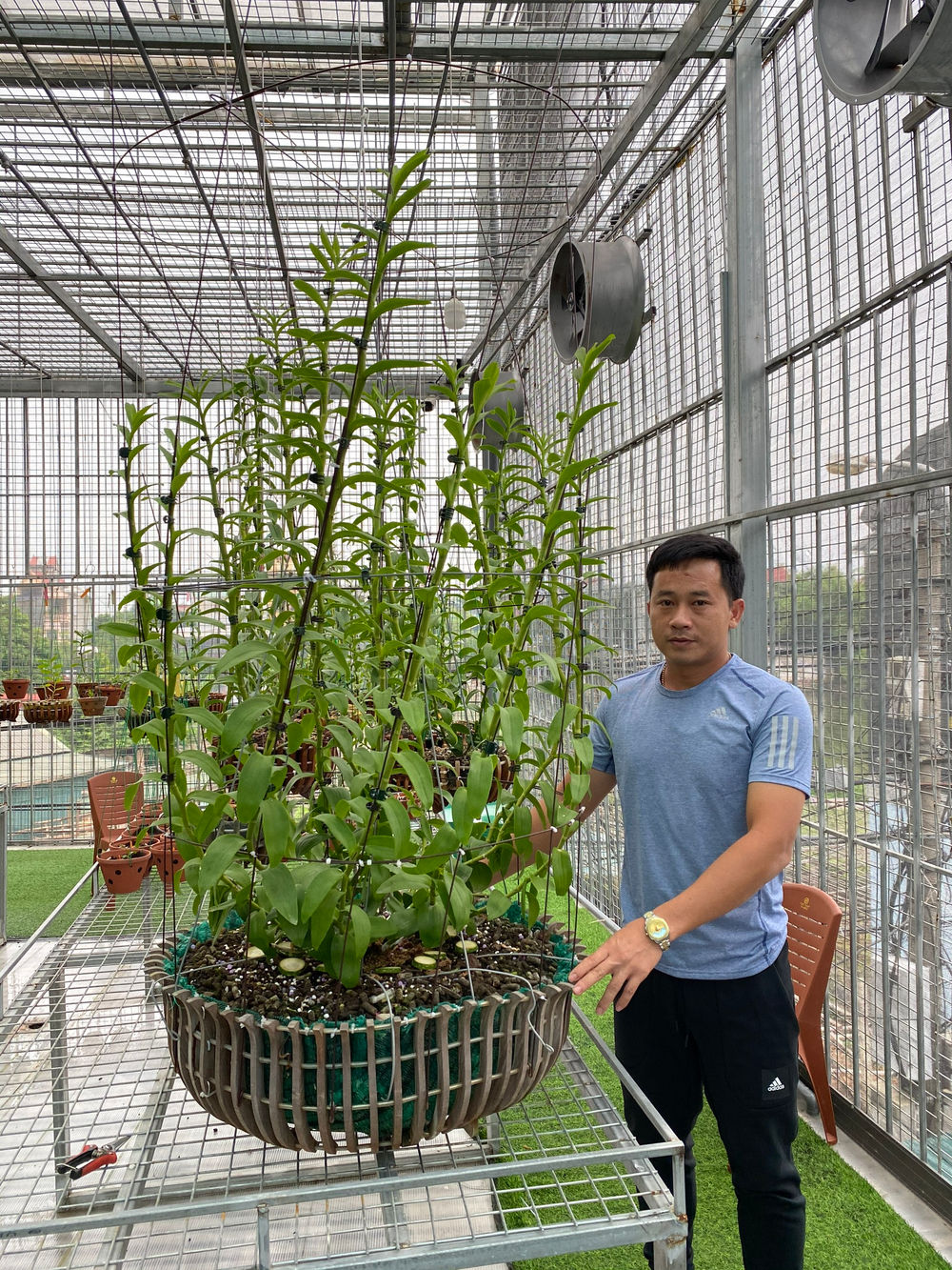 Thầy giáo Phạm Thăng Bằng sở hữu vườn lan giá trị với hơn 10.000 chậu Ảnh 2
