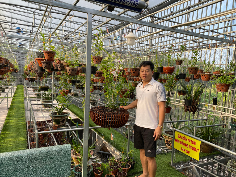 Thầy giáo Phạm Thăng Bằng sở hữu vườn lan giá trị với hơn 10.000 chậu Ảnh 5