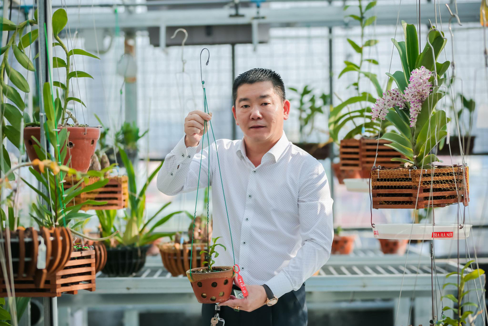 Ông chủ vườn lan Trần Ngọc Hà hé lộ bí quyết thành công Ảnh 4