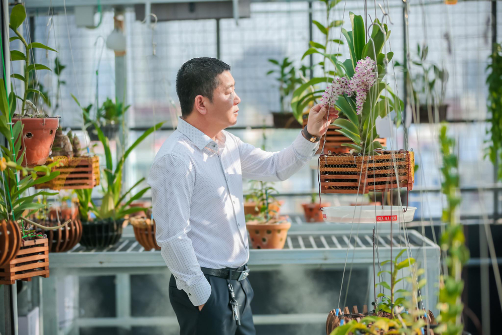 Ông chủ vườn lan Trần Ngọc Hà hé lộ bí quyết thành công Ảnh 6