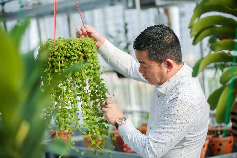 Ông chủ vườn lan Trần Ngọc Hà hé lộ bí quyết thành công Ảnh 9