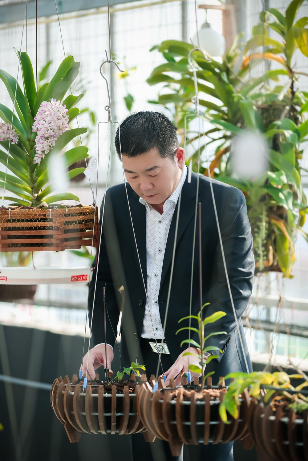 Ông chủ vườn lan Trần Ngọc Hà hé lộ bí quyết thành công Ảnh 10