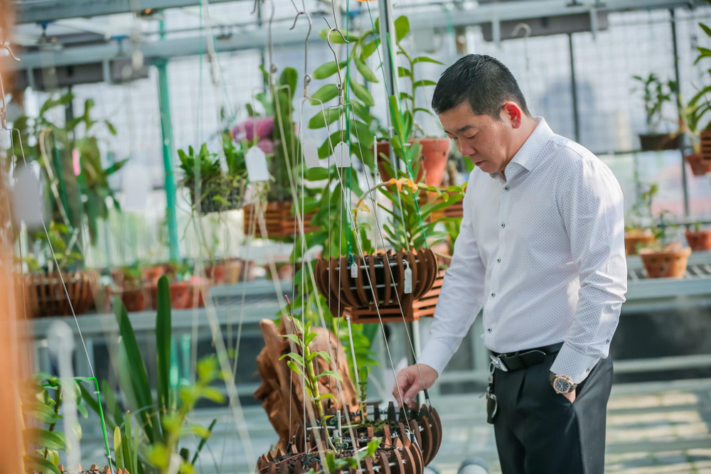 Ông chủ vườn lan Trần Ngọc Hà hé lộ bí quyết thành công Ảnh 1