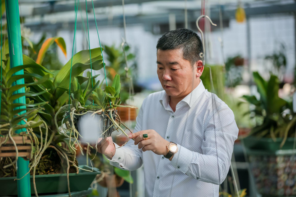 Ông chủ vườn lan Trần Ngọc Hà hé lộ bí quyết thành công Ảnh 2