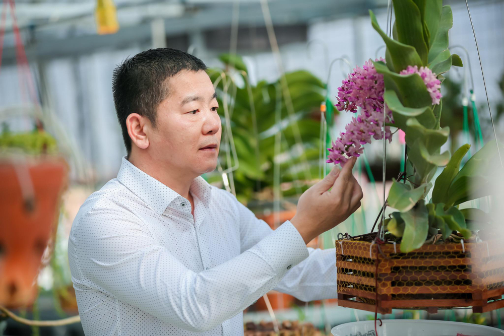 Ông chủ vườn lan Trần Ngọc Hà hé lộ bí quyết thành công Ảnh 3