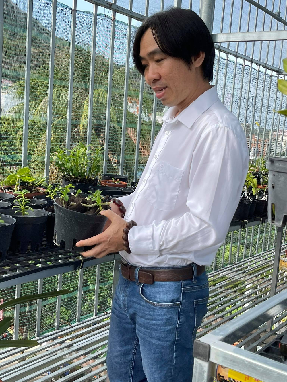 Ông chủ Nguyễn Huy Bình và vườn lan 'khủng' nhiều người ngưỡng mộ Ảnh 5
