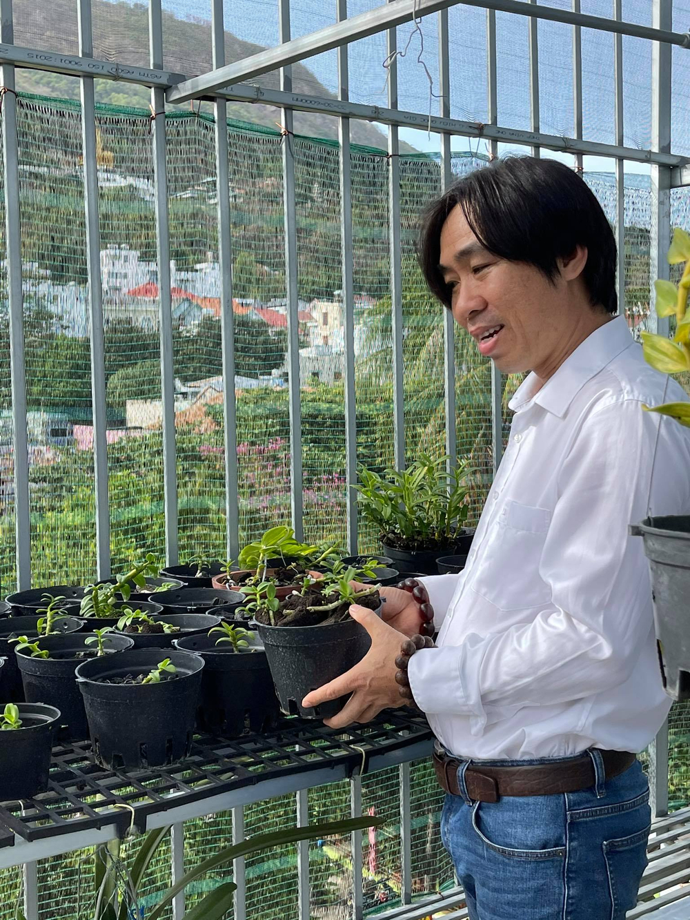 Ông chủ Nguyễn Huy Bình và vườn lan 'khủng' nhiều người ngưỡng mộ Ảnh 6