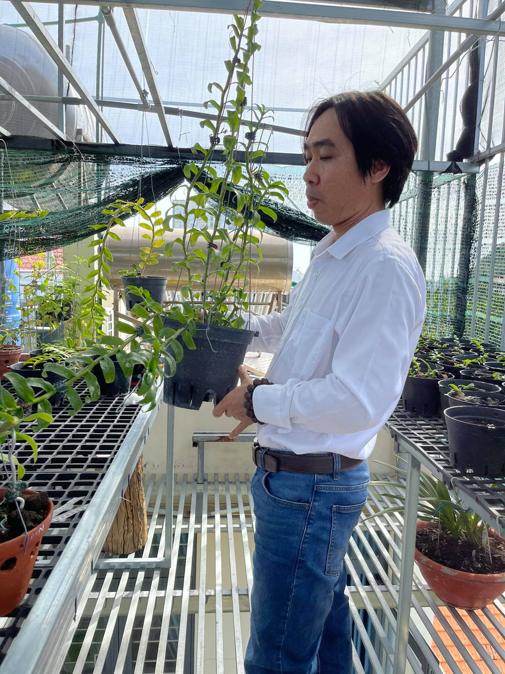 Ông chủ Nguyễn Huy Bình và vườn lan 'khủng' nhiều người ngưỡng mộ Ảnh 2