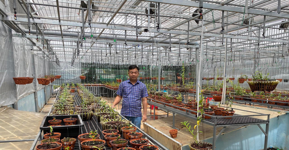 Đô Ban Mê và những lần chi tiền khủng chinh phục lan đột biến Ảnh 5