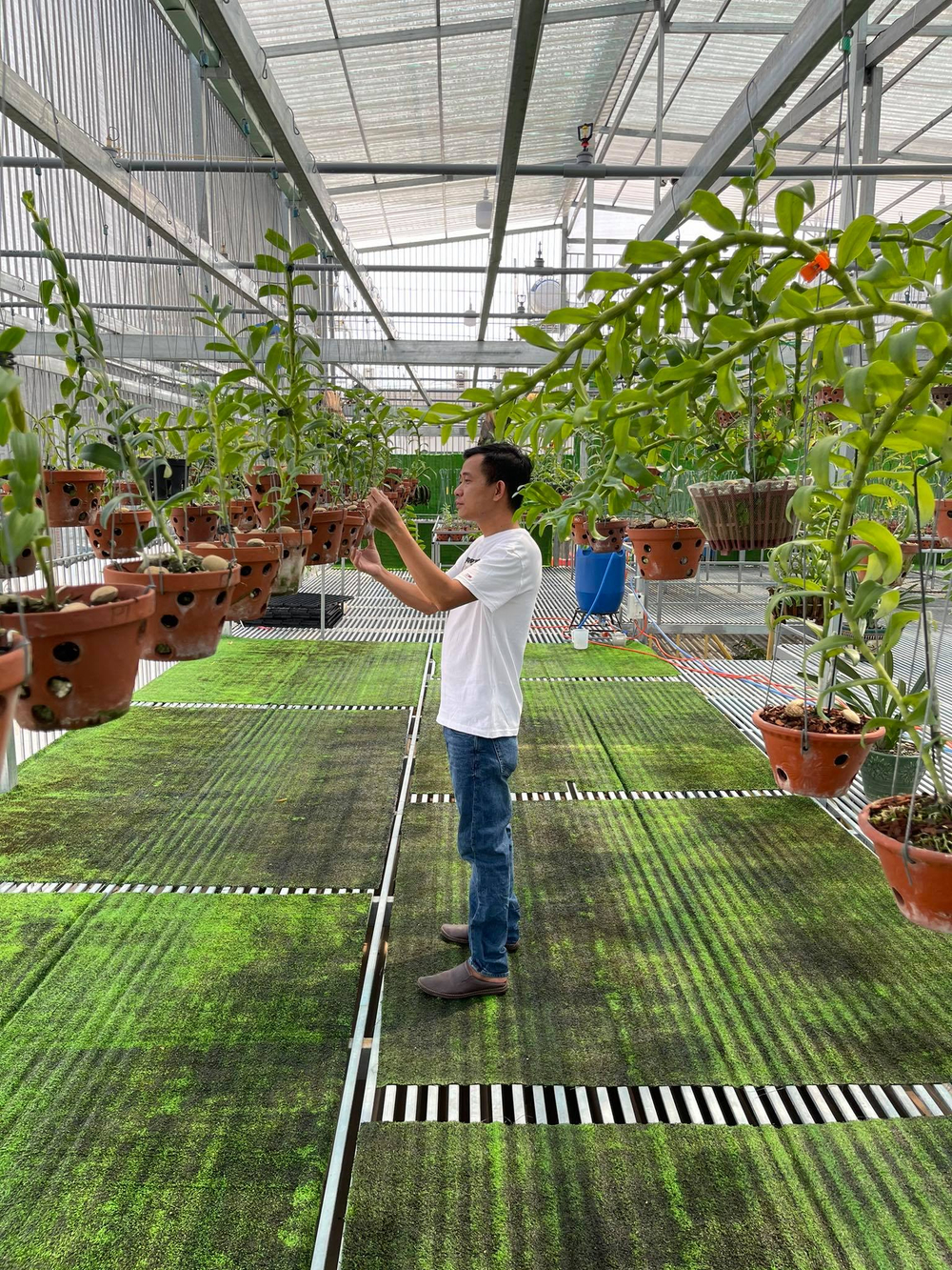 Phạm Minh Minh: Ông chủ vườn lan đi từ thử thách tới thành công Ảnh 1