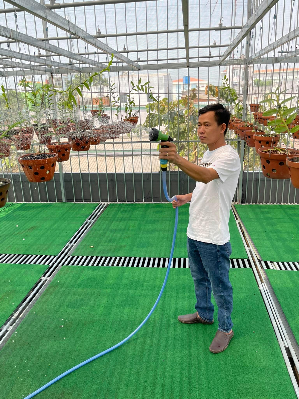 Phạm Minh Minh: Ông chủ vườn lan đi từ thử thách tới thành công Ảnh 2