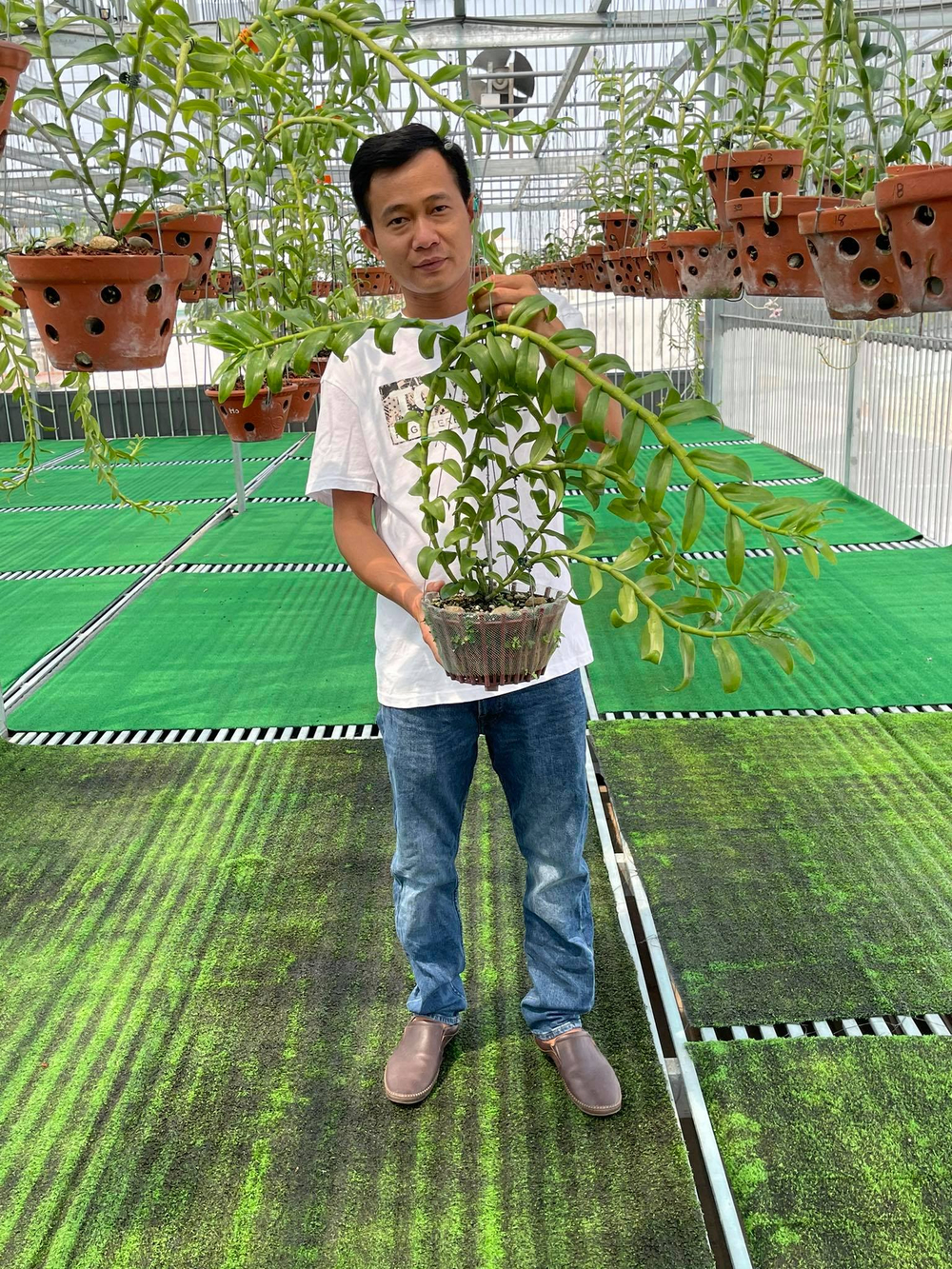 Phạm Minh Minh: Ông chủ vườn lan đi từ thử thách tới thành công Ảnh 3