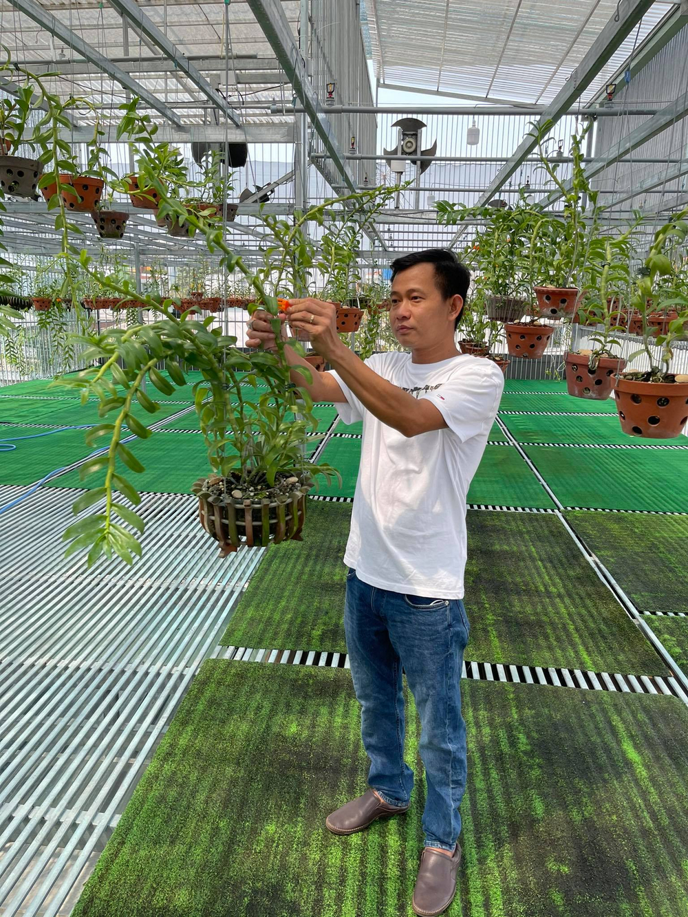 Phạm Minh Minh: Ông chủ vườn lan đi từ thử thách tới thành công Ảnh 4
