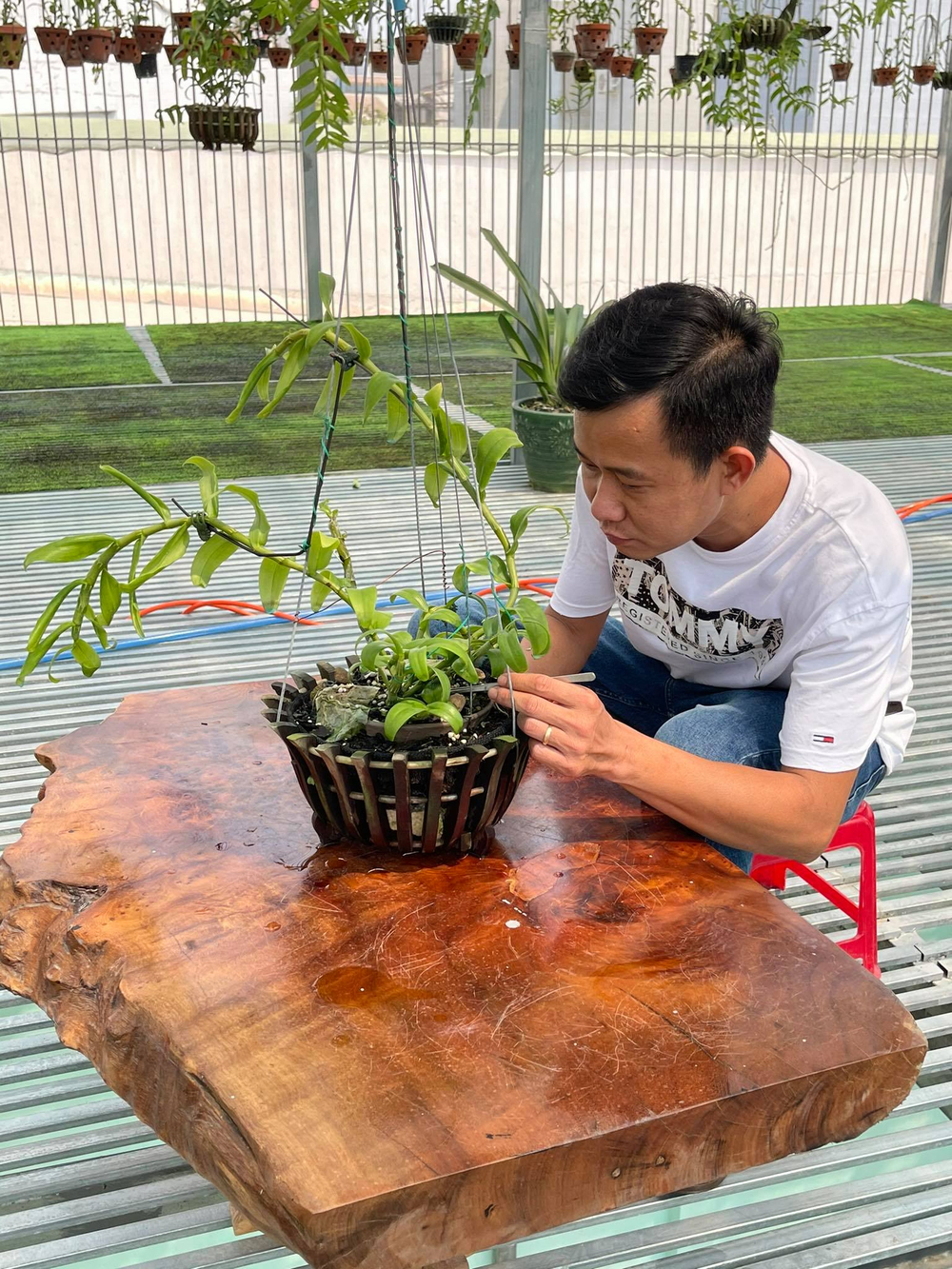 Phạm Minh Minh: Ông chủ vườn lan đi từ thử thách tới thành công Ảnh 7