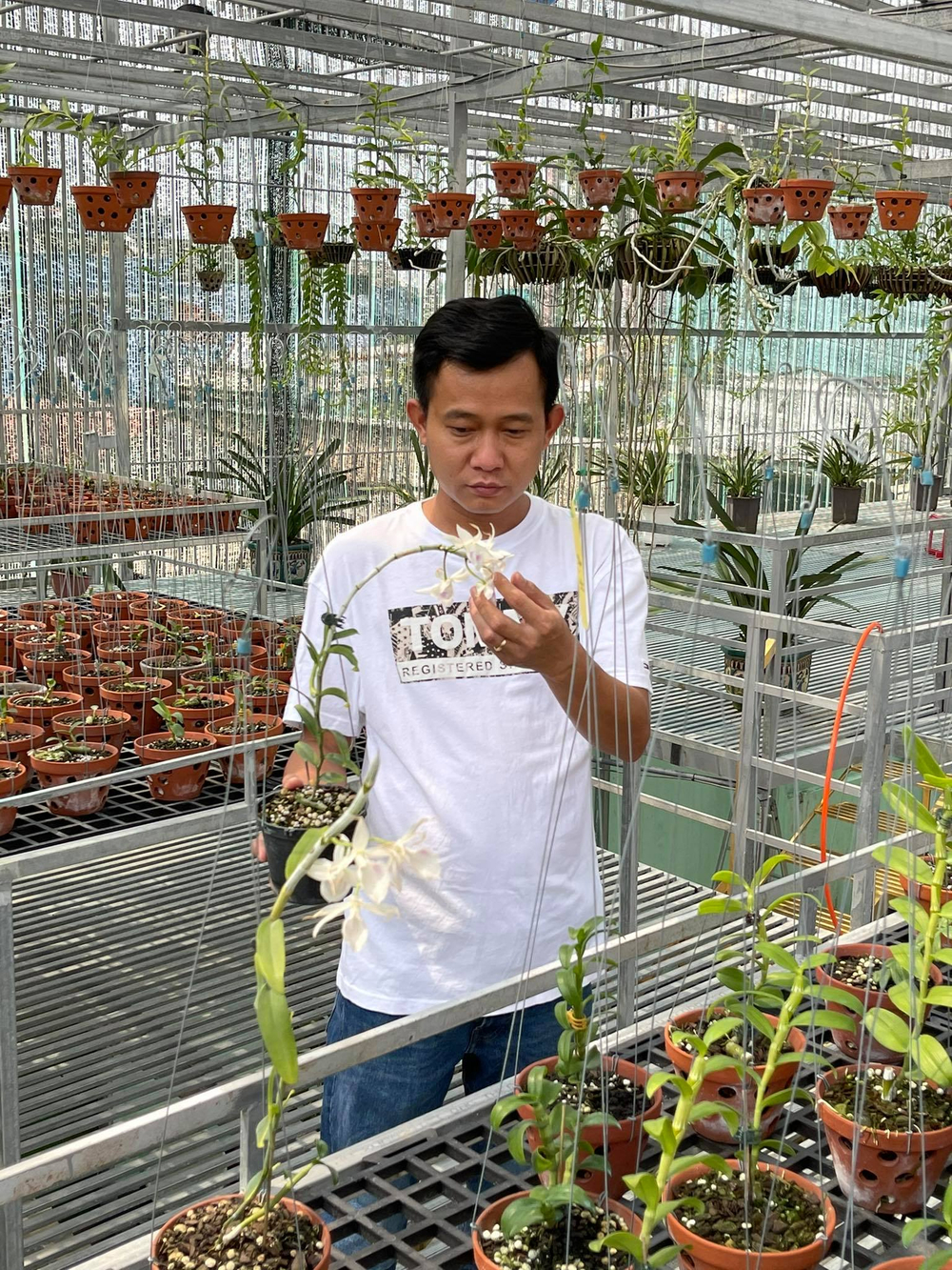Phạm Minh Minh: Ông chủ vườn lan đi từ thử thách tới thành công Ảnh 6