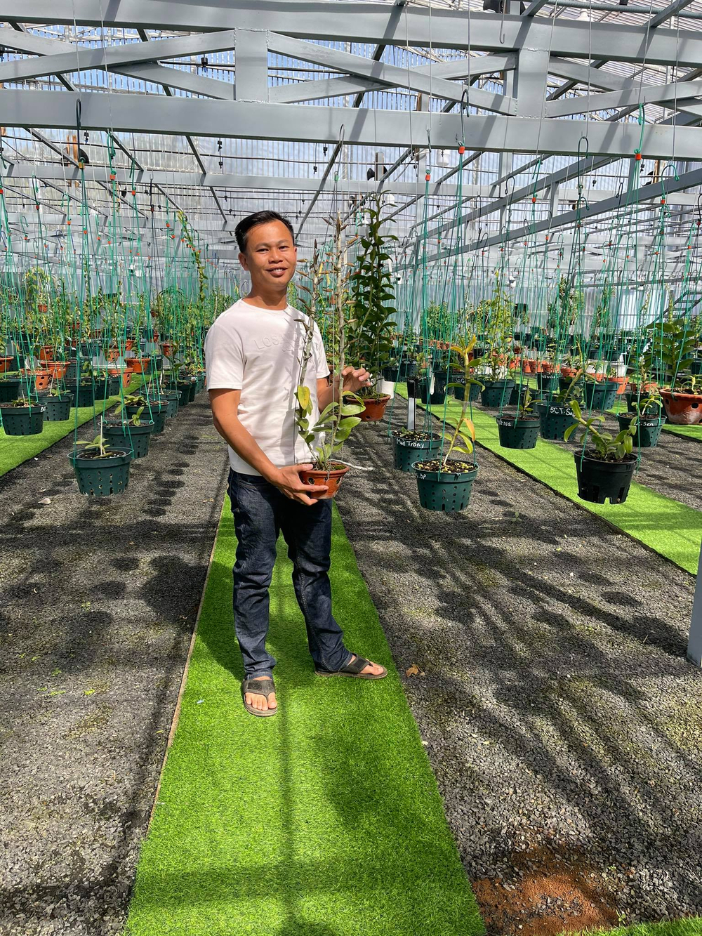 Ông chủ vườn lan Long Bảo và niềm đam mê bất tận với hoa lan Ảnh 10