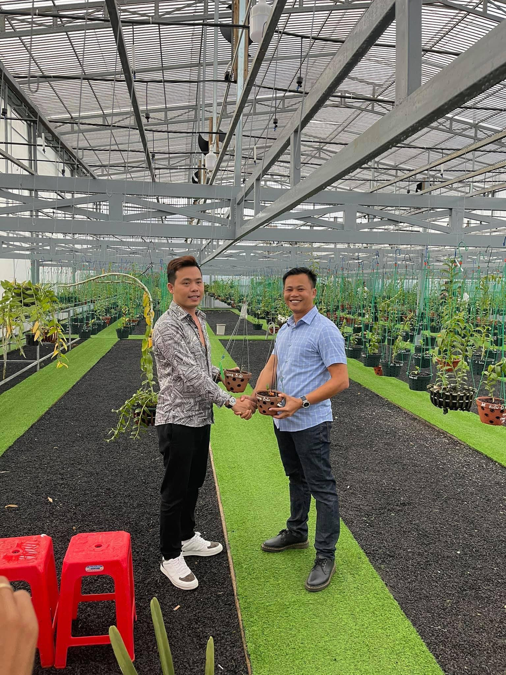 Ông chủ vườn lan Long Bảo và niềm đam mê bất tận với hoa lan Ảnh 2