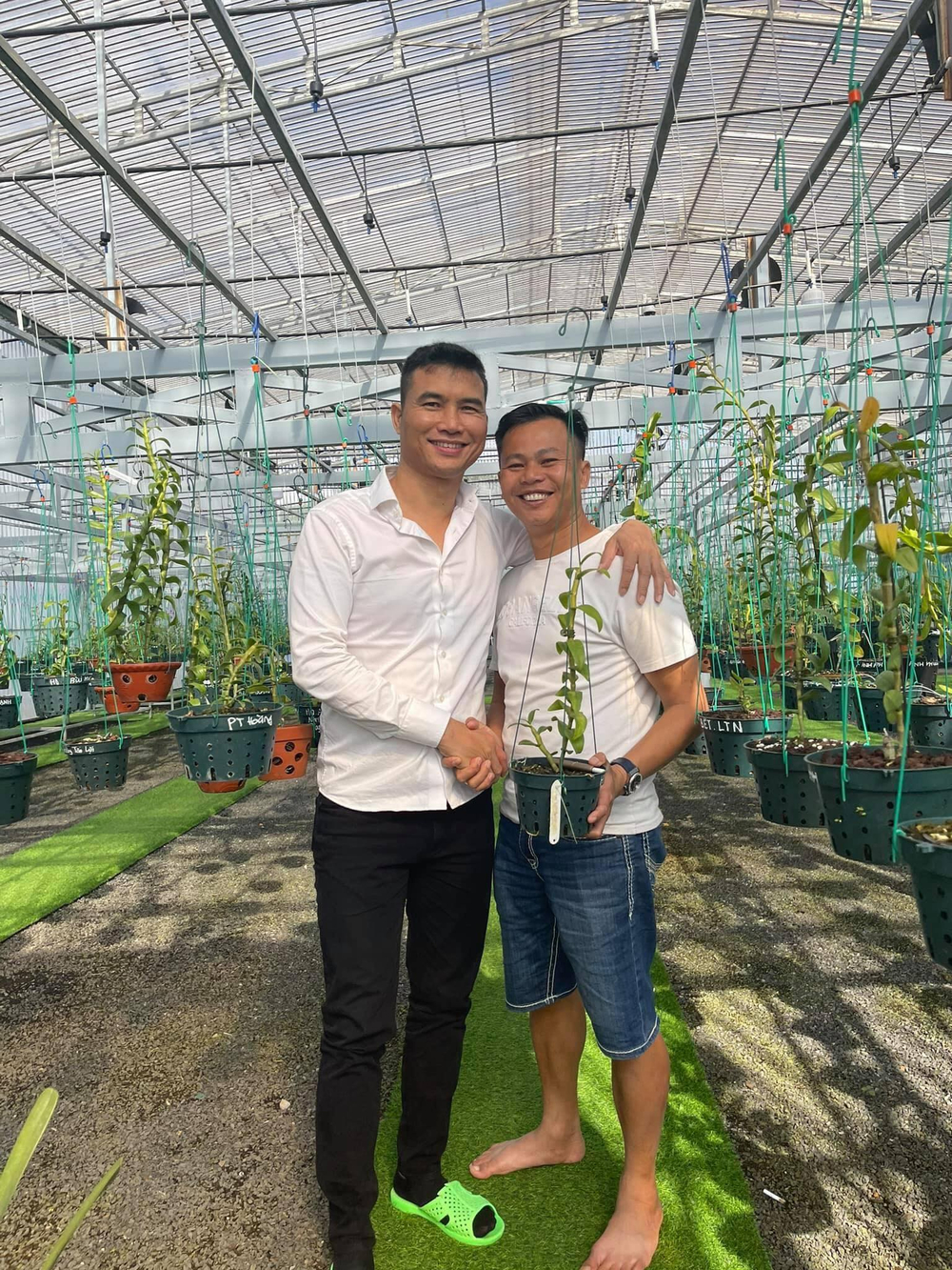 Ông chủ vườn lan Long Bảo và niềm đam mê bất tận với hoa lan Ảnh 3