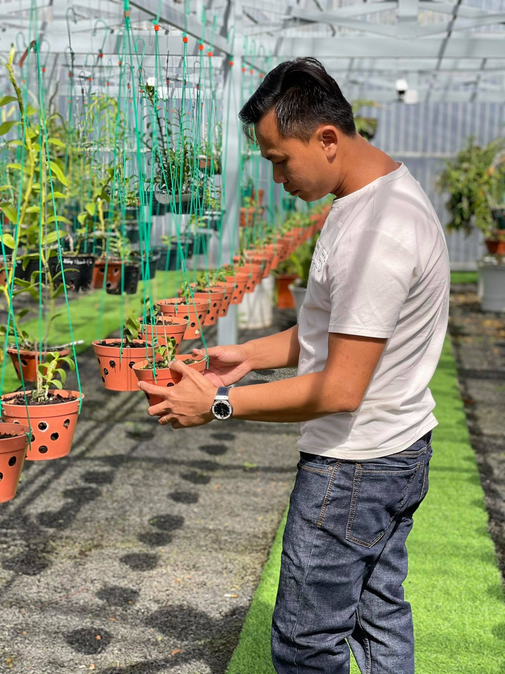 Ông chủ vườn lan Long Bảo và niềm đam mê bất tận với hoa lan Ảnh 4