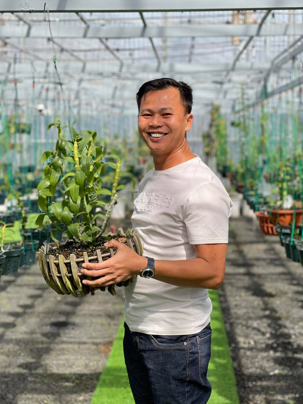 Ông chủ vườn lan Long Bảo và niềm đam mê bất tận với hoa lan Ảnh 5