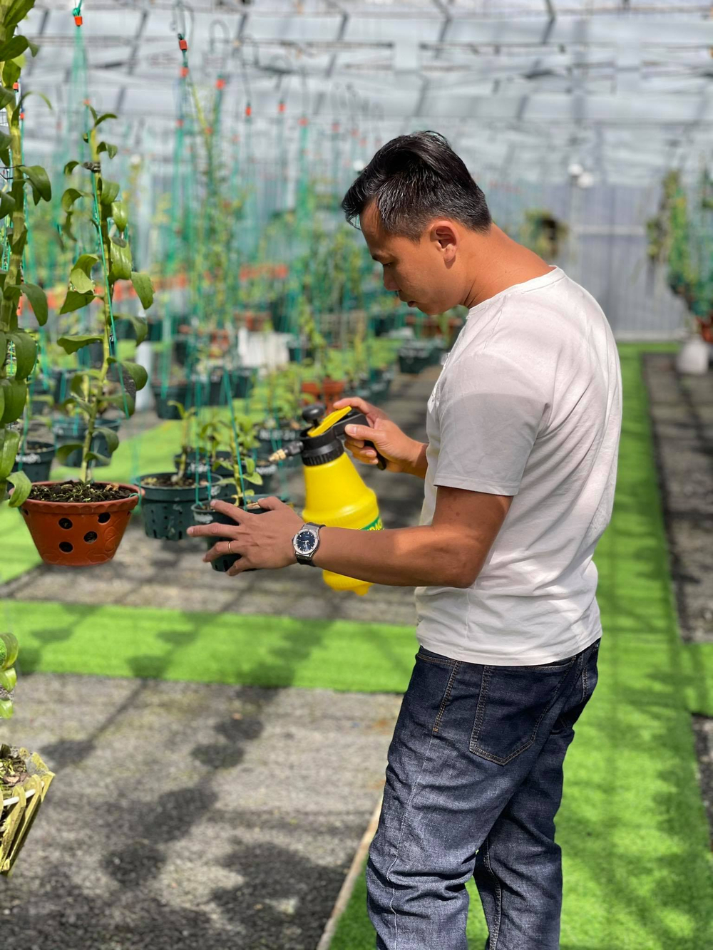 Ông chủ vườn lan Long Bảo và niềm đam mê bất tận với hoa lan Ảnh 6