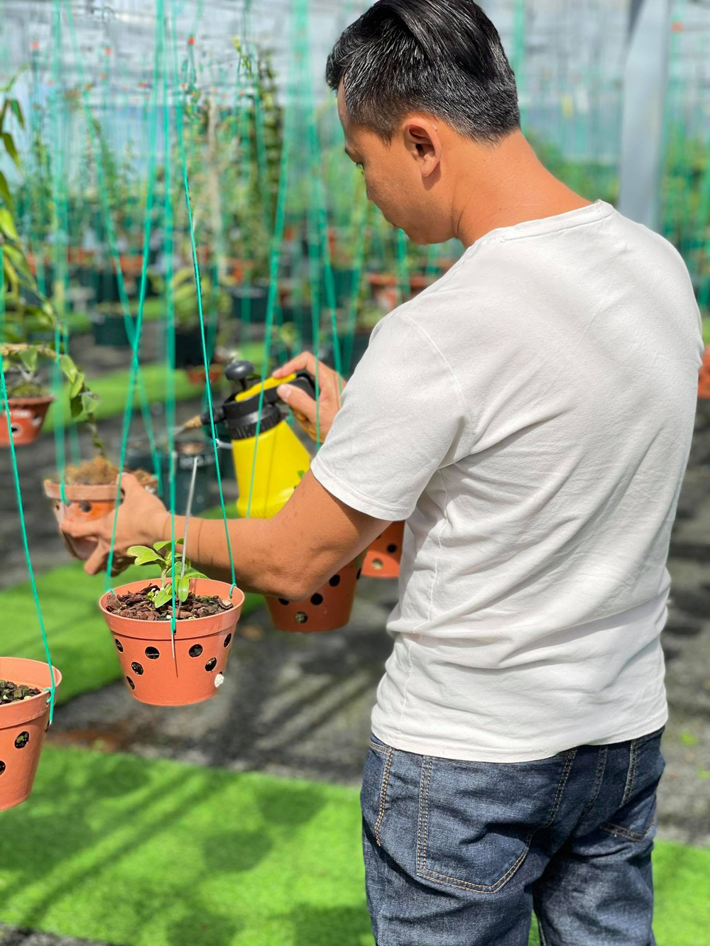 Ông chủ vườn lan Long Bảo và niềm đam mê bất tận với hoa lan Ảnh 7