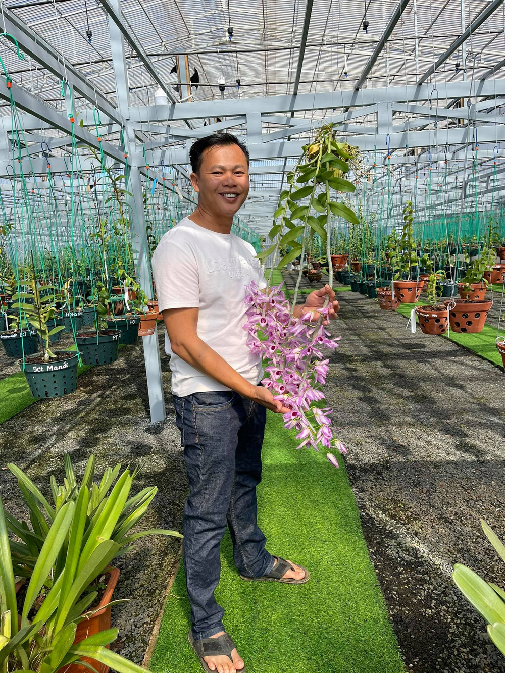 Ông chủ vườn lan Long Bảo và niềm đam mê bất tận với hoa lan Ảnh 8