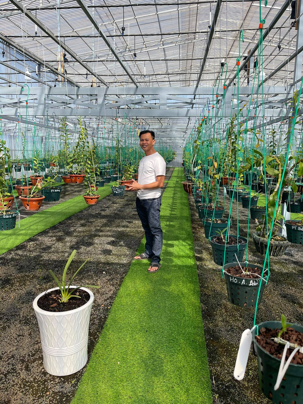 Ông chủ vườn lan Long Bảo và niềm đam mê bất tận với hoa lan Ảnh 9